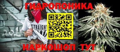 стафф Тверь